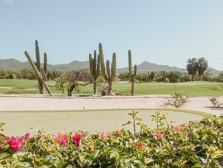 Los Cabos Golf Resort Suites Promotions & Packages